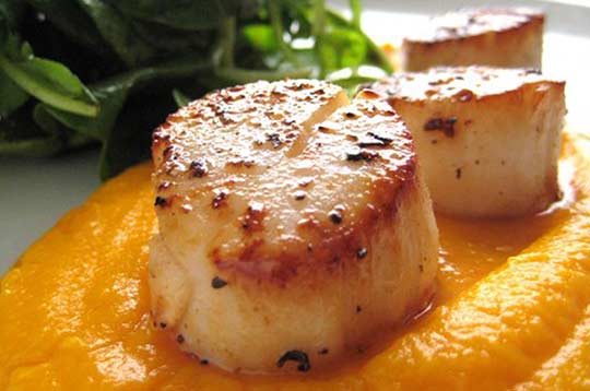 Scallops