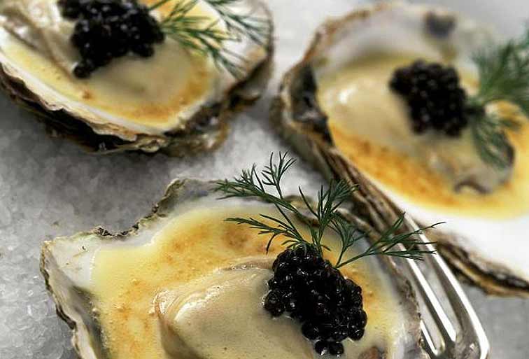 Oysters